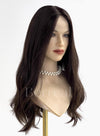 Silk Top Wigs 2.0 20Inch N#4